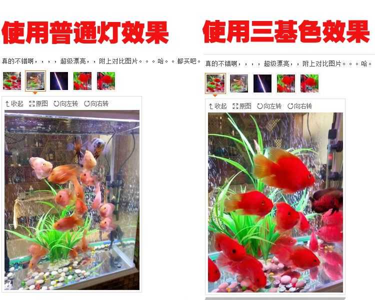 紅色魚缸燈怎么選擇：紅色魚缸燈品牌對(duì)比推薦：紅色魚缸燈的光譜科學(xué)選擇