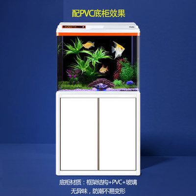 龍魚缸品牌推薦知乎：最受歡迎的十大龍魚缸品牌