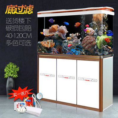 龍魚缸品牌推薦知乎：最受歡迎的十大龍魚缸品牌