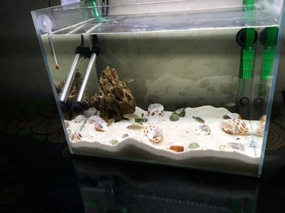 龍魚缸品牌推薦知乎：最受歡迎的十大龍魚缸品牌