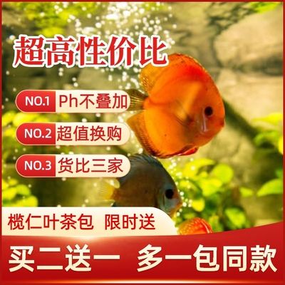 魚缸生態系統的建立與維護：橄欖葉放魚缸水質管理全攻略了解橄欖葉放魚缸水質管理