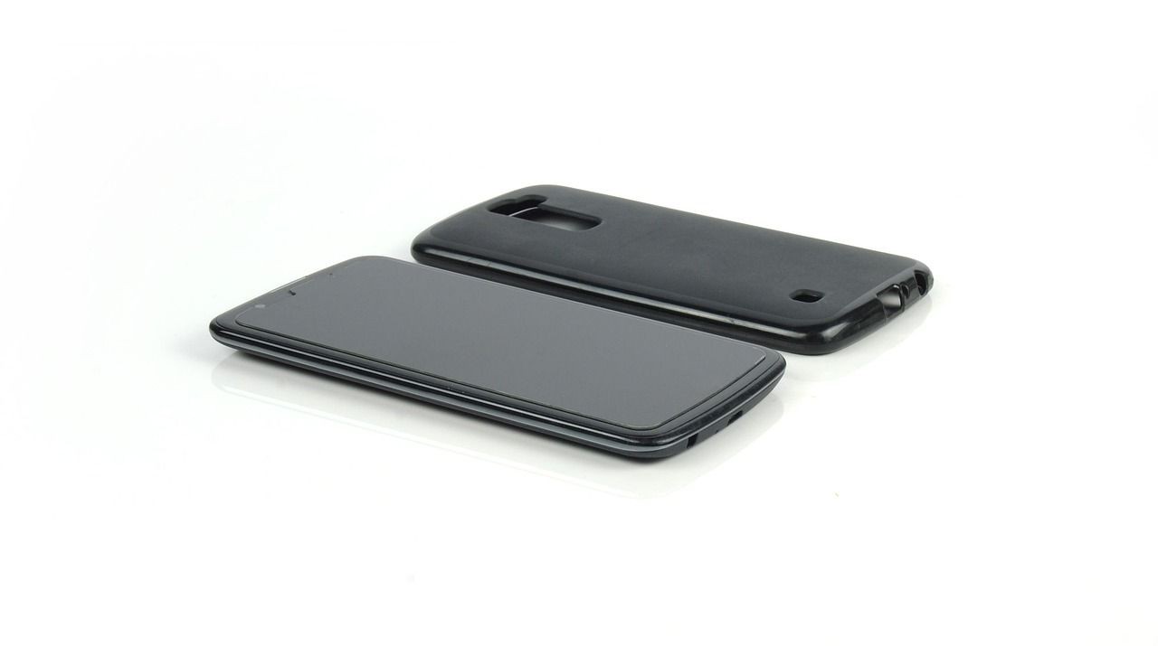 鐵嶺水族批發(fā)市場，淺析鐵嶺水族市場