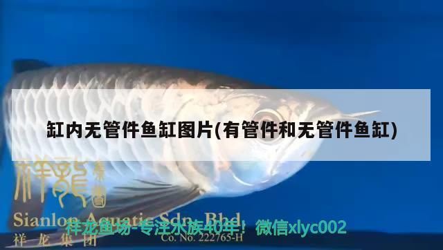 閩江魚缸廠家售后電話：閩江魚缸廠家售后電話詳情