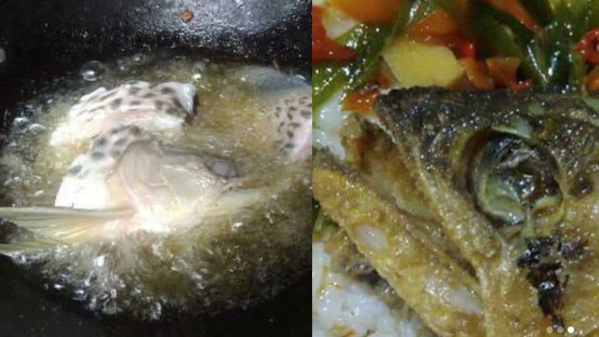 金龍魚怎么煮：關于“金龍魚怎么煮”的一些相關信息