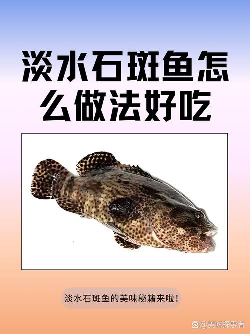 淡水石斑魚圖片大全，名貴的魚類——淡水石斑魚 淡水石斑魚圖片大全，名貴的魚類——淡水石斑魚 龍魚論壇 第5張