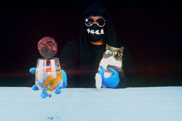 揭秘世界上最貴的龍魚，價格與珍稀品種全解析，（注，由于用戶未提供具體內容，此標題是基于常見龍魚相關話題的通用示例。若用戶提供具體內容，可生成更精準匹配的標題。），天價龍魚之謎，揭秘價值千萬的稀有品種與天價背后的真相，（請提供具體內容，我將為您定制專屬標題。）