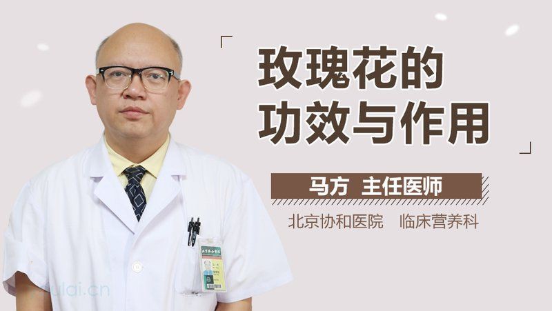 玫瑰的功效與作用區別，余平波主治醫師三甲玫瑰花的功效與作用及作用及禁忌