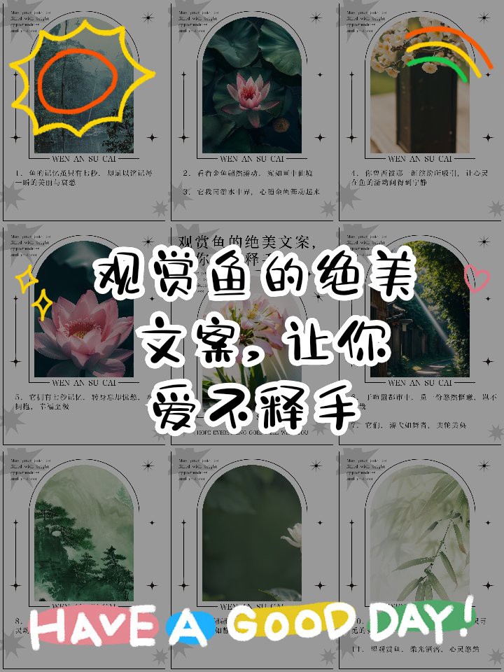 專門賣觀賞魚的app【水族世界的數字橋梁——主流觀賞魚交易平臺深度解析】 專門賣觀賞魚的app【水族世界的數字橋梁——主流觀賞魚交易平臺深度解析】 龍魚論壇 第6張