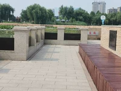 桓臺縣的養魚技巧與疾病防治養魚技巧與疾病防治養魚：山東桓臺縣養魚培訓 桓臺縣的養魚技巧與疾病防治養魚技巧與疾病防治養魚：山東桓臺縣養魚培訓 魚缸百科