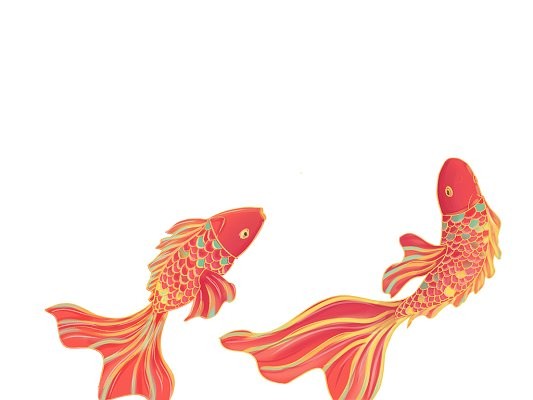 龍魚背景圖片大全可愛卡通