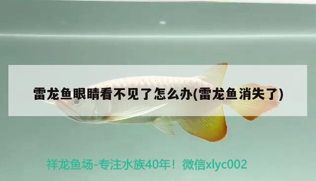 新野縣大從觀賞魚(yú)店