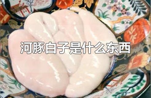 招財魚最佳擺放位置圖，提升財運的風水指南，招財魚最佳擺放位置圖，提升財運的風水布局指南