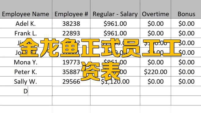 金龍魚正式員工的薪資待遇如何？ 金龍魚正式員工的薪資待遇如何？ 龍魚論壇 第1張
