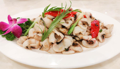 招財(cái)魚是冷水魚還是熱帶魚？全面解析招財(cái)魚的飼養(yǎng)環(huán)境，招財(cái)魚是冷水魚還是熱帶魚？飼養(yǎng)環(huán)境全解析