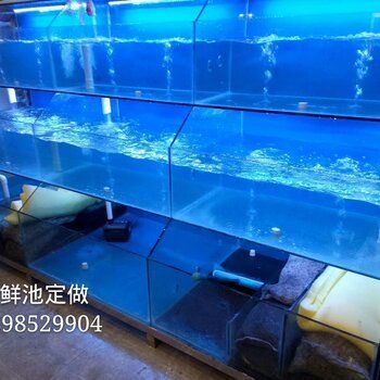 定制玻璃魚缸（定制玻璃魚缸可以根據(jù)您的需求定制不同的尺寸和形狀）