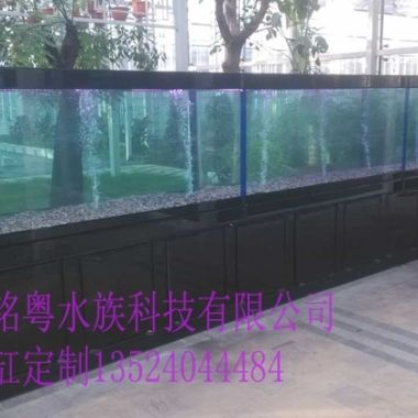 定制玻璃魚缸（定制玻璃魚缸可以根據您的需求定制不同的尺寸和形狀）