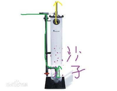 魚缸濾筒原理圖：如何選擇合適的魚缸濾筒