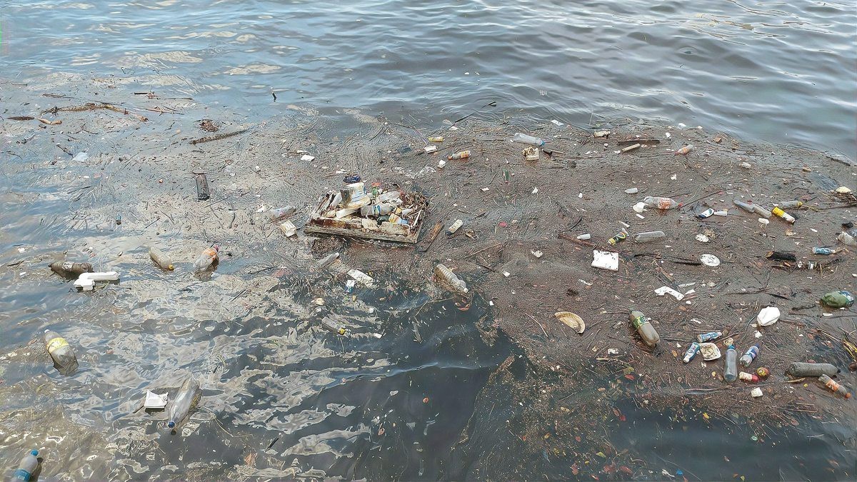 龍魚專用魚藥有哪些副作用