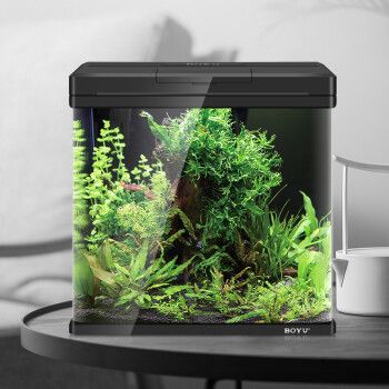 魚缸與家具風格的搭配技巧魚缸與家具風格的搭配技巧：如何選擇帶柜子的魚缸