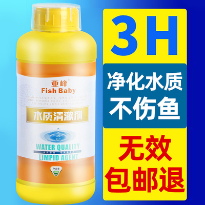 短身蝴蝶鯉圖片（短身蝴蝶鯉的飼養技巧）