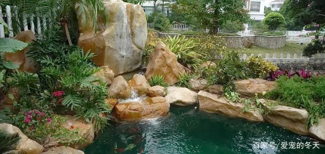 魚缸如何計算升(魚缸如何計算升溫量)