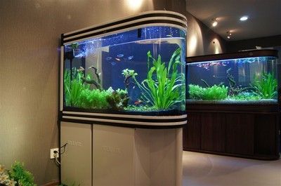可麗愛魚缸如何換水：可麗愛魚缸換水方法