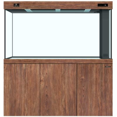 定制魚(yú)缸十大名牌排名：十大定制魚(yú)缸品牌介紹