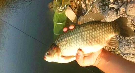 魚缸過濾系統(tǒng)制作方法（魚缸過濾系統(tǒng)制作方法圖解） 魚缸過濾系統(tǒng)制作方法（魚缸過濾系統(tǒng)制作方法圖解） 一方水族 第2張