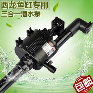 養(yǎng)龍魚用什么水：養(yǎng)龍魚需要了解龍魚對(duì)水質(zhì)的具體要求