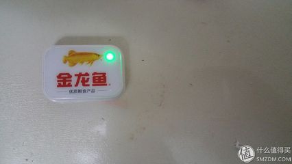 金龍魚什么時間開關燈好【金龍魚什么時候開關燈好】