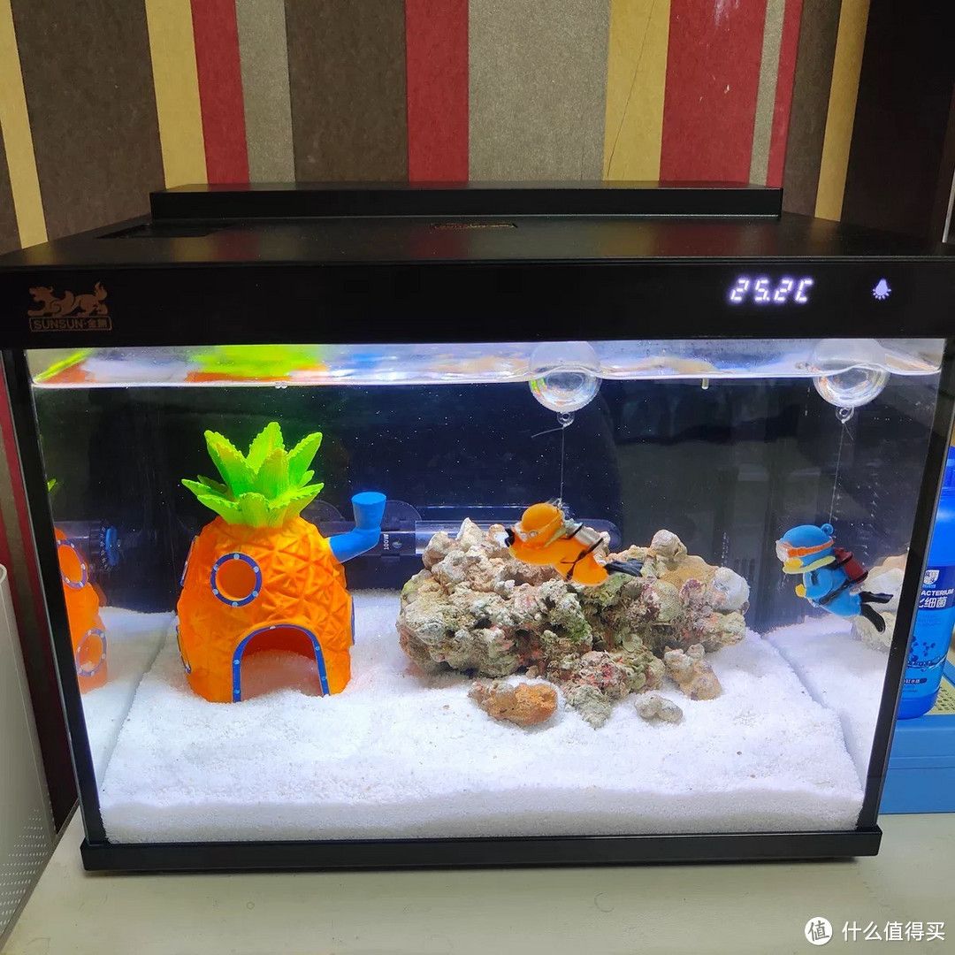 森森魚缸的過濾箱怎么拿出來清洗：森森魚缸的過濾箱怎么清洗
