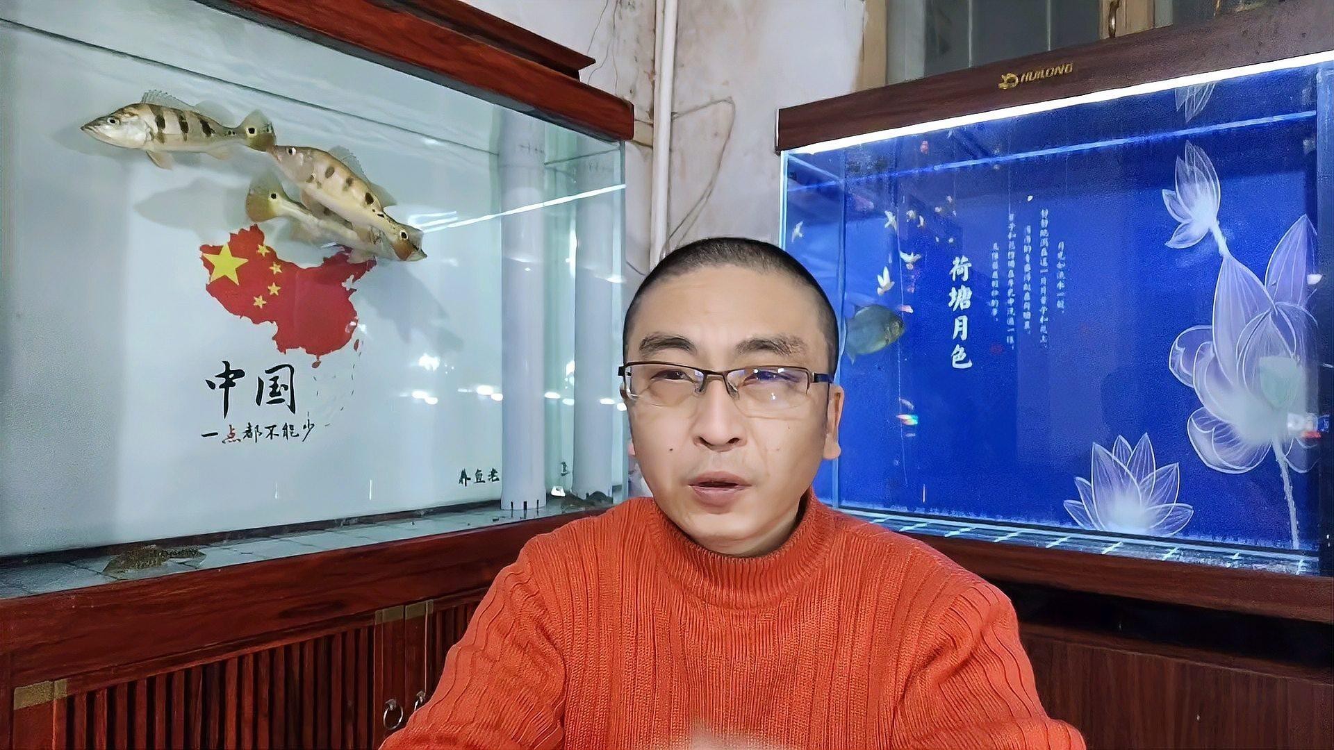 1.2米魚缸養(yǎng)幾條銀龍魚好