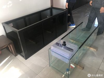 模仿亞馬遜河流域水域景觀的魚缸造景風(fēng)格南美缸的步驟和注意事項：南美缸的生態(tài)構(gòu)建