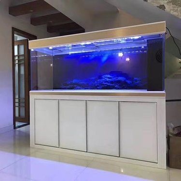 海洋風(fēng)格魚缸設(shè)計：海洋風(fēng)格的魚缸設(shè)計 海洋風(fēng)格魚缸設(shè)計：海洋風(fēng)格的魚缸設(shè)計 魚缸百科 第1張