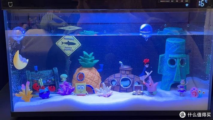 森森魚缸好還是彩蝶魚缸好：森森魚缸與彩蝶魚缸價(jià)格對比