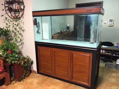 森森魚缸好還是彩蝶魚缸好：森森魚缸與彩蝶魚缸價(jià)格對比