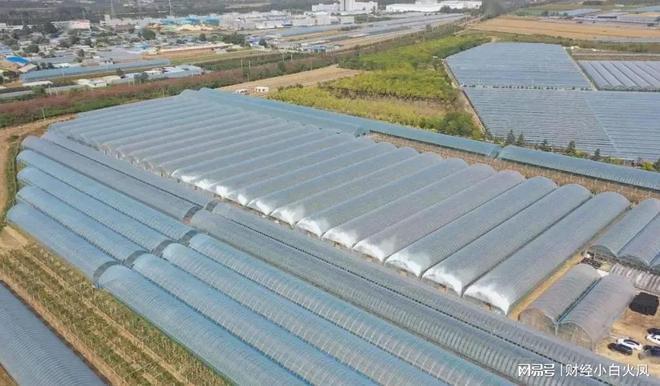 魚種類大全圖片，探索世界各地的魚類多樣性