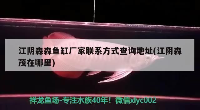 森森魚缸廠家聯系方式：無錫森森魚缸廠家聯系方式：18605138988
