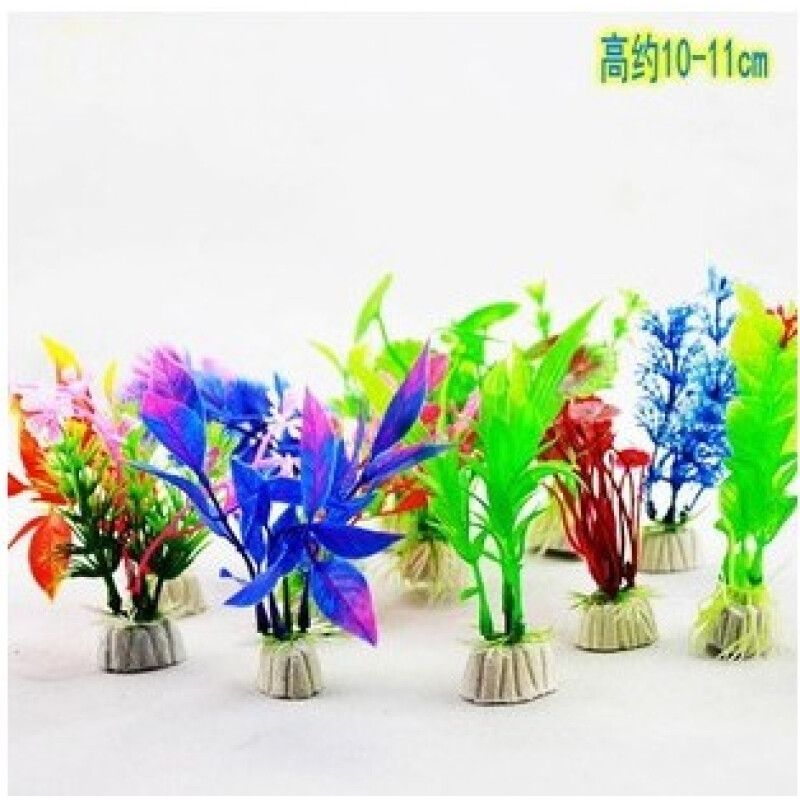 皇冠草的養(yǎng)護(hù)方法是皇冠草的養(yǎng)護(hù)方法是皇冠草的養(yǎng)護(hù)方法：戶外魚(yú)缸養(yǎng)什么樣的水草合適 皇冠草的養(yǎng)護(hù)方法是皇冠草的養(yǎng)護(hù)方法是皇冠草的養(yǎng)護(hù)方法：戶外魚(yú)缸養(yǎng)什么樣的水草合適 魚(yú)缸百科 第2張