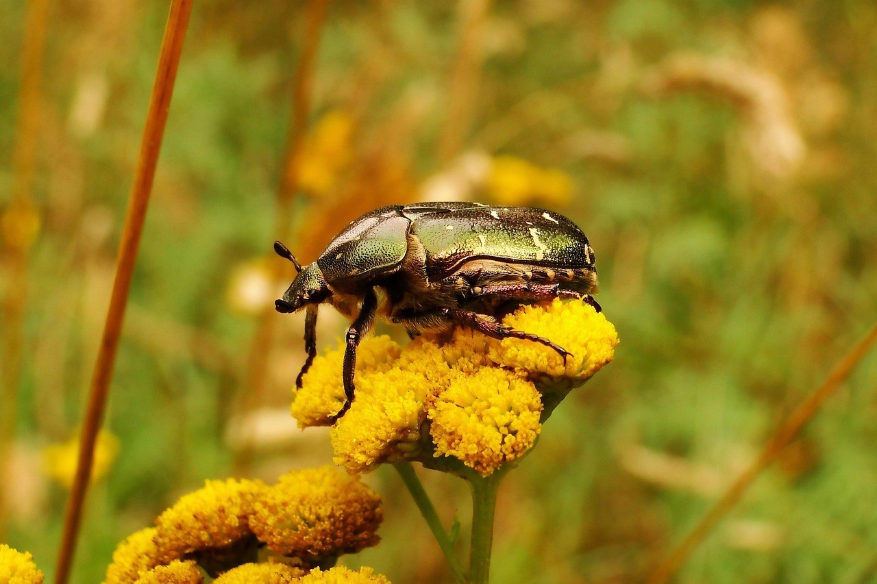 臨汾哪里有賣魚缸的實體店鋪啊電話（臨汾活魚批發市場） 臨汾哪里有賣魚缸的實體店鋪啊電話（臨汾活魚批發市場） 全國水族館企業名錄 第1張