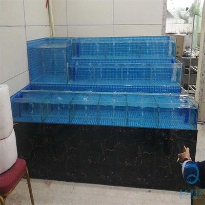 魚缸水循環系統的優缺點：如何選擇合適的魚缸外濾