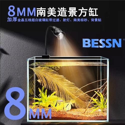 雷龍魚用什么魚缸最好 雷龍魚用什么魚缸最好 龍魚百科 第12張