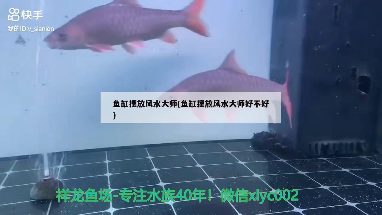 北京俏祥金鯉魚具店
