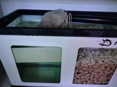 比較好的魚缸濾材（玻璃環,生物陶瓷濾材,沸石,火山石,比較好的魚缸濾材）
