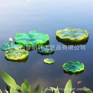 什么樹葉適合放魚缸：荷花玉蘭樹葉水培方法，魚缸水質監測的最佳實踐實踐 什么樹葉適合放魚缸：荷花玉蘭樹葉水培方法，魚缸水質監測的最佳實踐實踐 魚缸百科 第4張