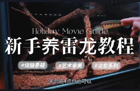 如何穩(wěn)定雷龍魚養(yǎng)殖水質(zhì)：穩(wěn)定雷龍魚養(yǎng)殖水質(zhì)是確保雷龍魚健康生長(zhǎng)的關(guān)鍵因素之一