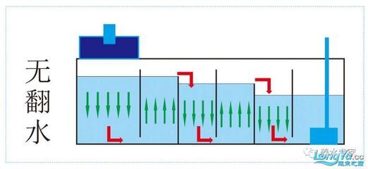 底濾魚缸水槽清理方法：關于魚缸底濾魚缸水槽清理