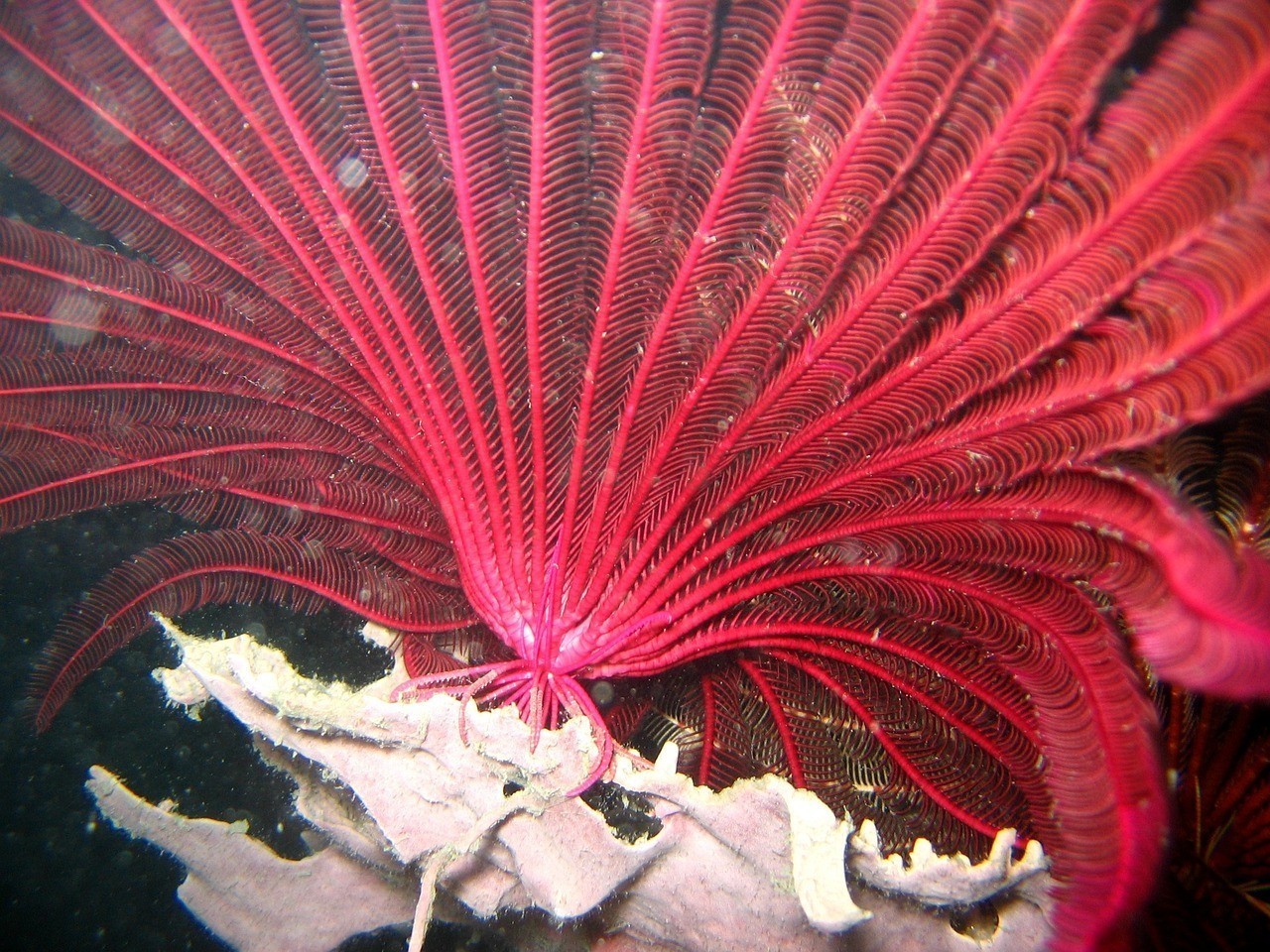 上海市<strong><mark>普陀</mark></strong>區卓然水族館（上海市<strong><mark>普陀</mark></strong>區卓然水族館地址）