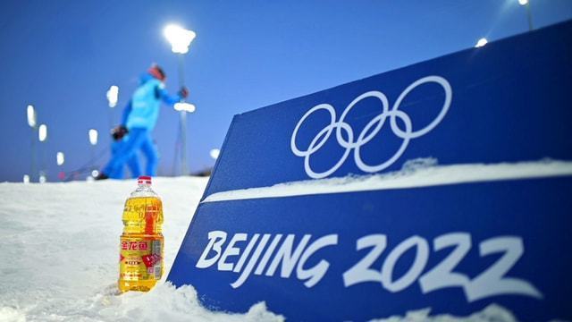 印尼虎魚多少溫度飼養最好:印尼虎魚多少溫度飼養最好印尼虎魚多少溫度飼養最好 張掖市甘州區天佑森森水族館(張掖市甘州區天佑森森水族館電話) 全國水族館企業名錄 張掖市甘州區天佑森森水族館(張掖市甘州區天佑森森水族館電話) 張掖市甘州區天佑森森水族館(張掖市甘州區天佑森森水族館電話) 全國水族館企業名錄