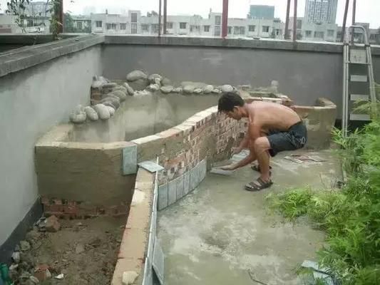如何建立有效的魚缸過濾系統(tǒng)：如何建立一個有效的魚缸過濾系統(tǒng)